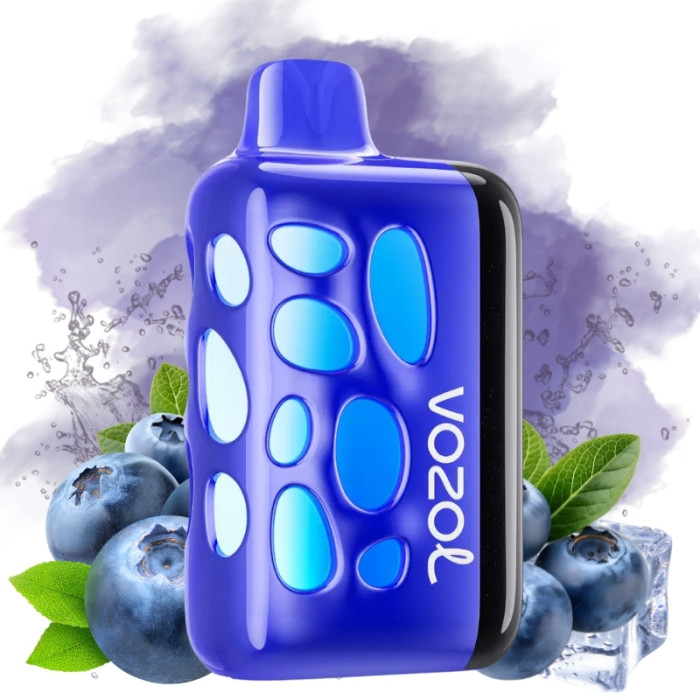 Vozol Rave 40000 Чорниця Лід 5%