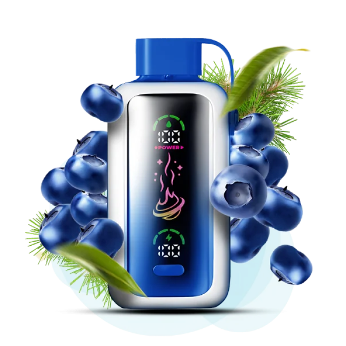 Vozol Star 20000 Чорниця 5%