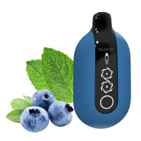 Flonq Ultra 20000 Чорниця М'ята 5%