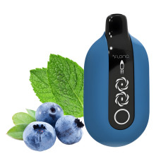 Flonq Ultra 20000 Чорниця М'ята 5%